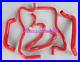 For-Holden-Commodore-VE-6-0L-LS2-SS-HSV-2006-on-Silicone-Radiator-Hose-Kit-red-01-dwd