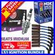 Spark-Plugs-Leads-Cables-for-Holden-HSV-LS1-V8-Commodore-Calais-VT-VU-VY-VX-VZ-01-ul